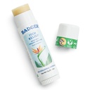 Badger Bug Biss Itch Relief Stick, Natürliche & Organic Anti Itch Creme für Bug-Bites, Rashes & Poison Ivy, Fast Itchy Skin Relief nach Biss, Werke groß, Smells groß, einfach zu bedienen, .6 Unze
