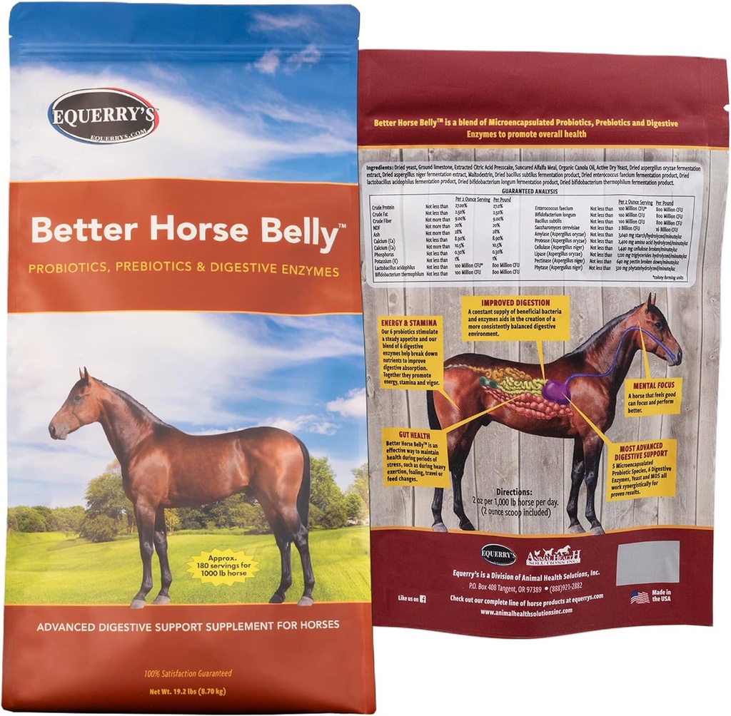 EQUERRY's Better Horse Belly - Ergänzung mit Gut-Unterstützung | Probiotika mit Präbiotika und Verdauungsenzymen | für Colic, Verdauungsstörungen - 19.2 LB