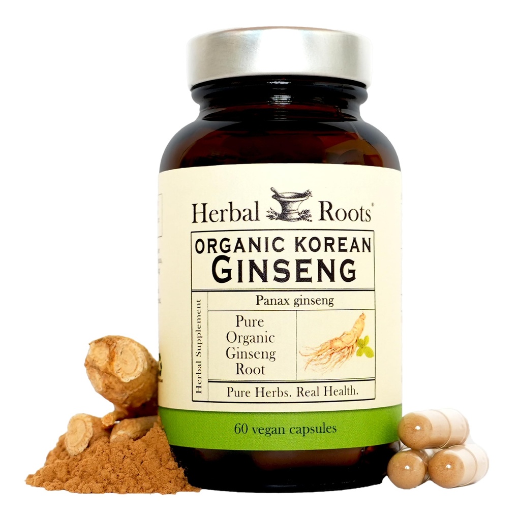Racines à base de plantes Panax Ginseng.Organic Korean Ginseng Root Powder.