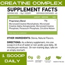 MFL Muscle Creatine | 3 Formen von mikronisiertem Kreatin | 10g | 0 Zucker | Versüßt mit Stevia | All-Natural | 60 Servietten (Natural)