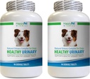 Supplément pour chien - Complexe de santé urinaire naturel pour chien - Santé et contrôle pour chien - Solution UTI - Chien Cranberry Chews - 2 bouteilles (180 onglets)