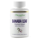 Paradise Herbs, Banaba Blatt, 12:1 Konzentrierter Extrakt, 250 mg, Vegan, Glutenfrei, Non-GMO, 180 Kapseln