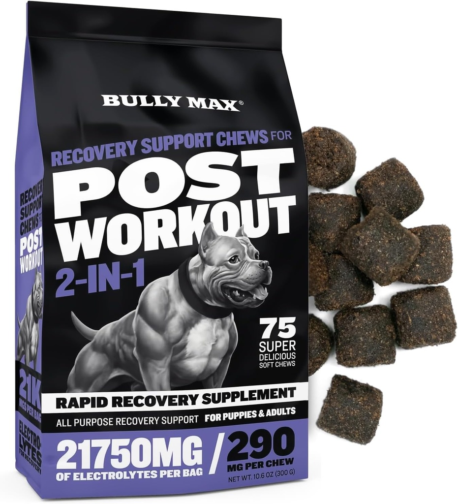 Bully Max 2-in-1 Post-Workout Erholung Unterstützung Chews - Hunde Vitamine und Nahrungsergänzungsmittel für kleine & große Zucht - Welpen und Adult Dog Hydration & Elektrolyt Replenishment - 75 Soft and Tasty Chews