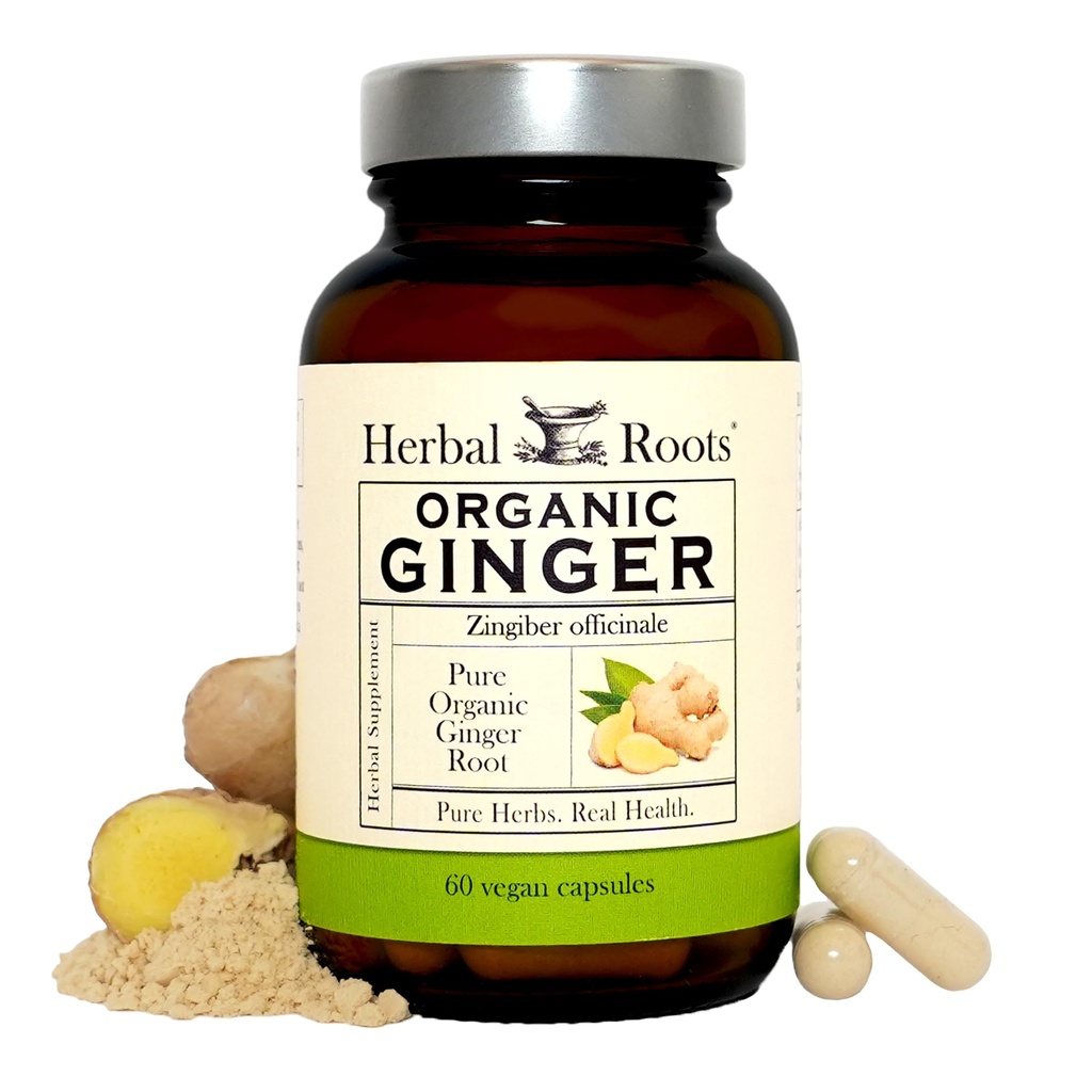 Herbal Roots Ginger Supplement | Organic Ginger Root Capsules | 1.200 mg Pure Ginger Powder per Serving | 60 Vegan Capsules
