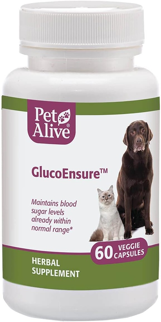 PetAlive GlucoEnsure - Tous les suppléments naturels à base de plantes pour maintenir le sucre de sang (Glucose) niveaux déjà dans la gamme normale chez les animaux