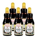 Offizieller Distributor - 5 Flaschen von Apiario Silvestre Brazilian Green Bee Propolis Liquid Glycolic Extract-Non Alcoholic, Wax Free, Sugar Free (PG)