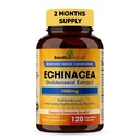 SANDHUHERBALS Sandhu Kräuter Echinacea Goldenseal 1000 Mg 120 Kapseln | Immunsystem Unterstützung Atmungsreaktion Entzündungsreaktion Ergänzung