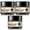 Shilajit Pure Himalayan Organic Shilajit Resin - 600mg Maximum Potency Natural Organic Shilajit Resin mit 85+ Trace Minerals & Fulvic Acid für Energie, Immununterstützung, 30 Gramm (3 Pack)