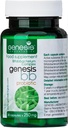 Genesis LABORATORIES Probiotische Ergänzung mit Bifidobacterium spp. 250 mg 30 Kapseln Immununterstützung Gut Health Probiotics für Verdauungsgesundheit Anti Bloating für Männer und Frauen Gut Restore Probiotic