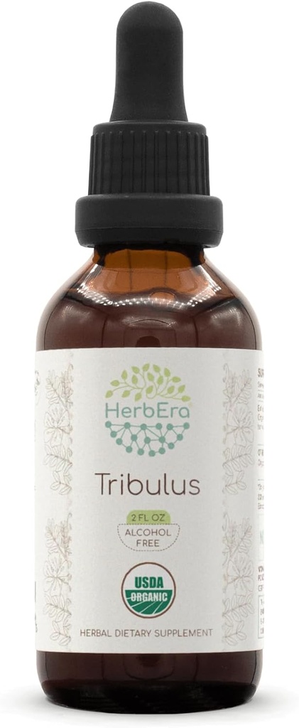 HerbEra Tribulus B60 Alkoholfreie Kräuterextrakt-Tinktur, Konzentrierte Flüssigkeitstropfen Natürliche USDA Organic Tribulus (Tribulus Terrestris) Getrocknete Frucht (2 fl oz)