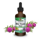 Nature's Answer Milk Thistle 2 Ounce Extract - Alkoholfrei, Non GMO, Liver Support Supplement für alle - Liver Detox, Made in USA