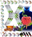 All Natural Detox Cleanse Instant Tea Mix Prune & Plum w. Fiber & Inulin für optimalen Darmübergang von FuXion Prunex 1 (10 Sachets)
