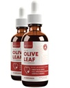 Rejuvica Active Olive Leaf Extract | Natürlich Occurring Oleuropein Flüssigkeitstropfen für Immun- und Herzunterstützung | Fast-Absorption, Vegan, Alkoholfrei | 4 fl oz
