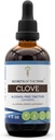 Secrets de la teinture de la tribu de vêtements Extrait liquide sans alcool, de la robe (Syzygium Aromaticum) Bouds de fleurs séchées (4 FL OZ)
