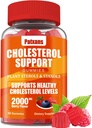 Gommies de soutien à l'emballage de cholestérol, contenant 2000MG de stérols et de stérols végétaux, Gommies de complexe de cholestérol, soutien à des niveaux de cholestérol sains, soutien énergétique, aromatisants mixtes, 60 comtes