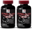 Natural Stamina Boost - TRIBULUS TERRESTRIS Extrait - Soutien de la force et de l'activité, Formule d'optimisation de l'énergie, Puissance végétale, Mélange de performance corporelle, Récupération active, Flux énergétique 2Bot 180Tabs