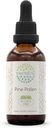 HerbEra Pine Pollen B60 Alkoholfreie Kräuterextrakt Tinktur, Konzentration flüssige Tropfen Natürlich (Song Hua Fen, Schotten Kiefer, Pinus Sylvestris) 2 fl oz