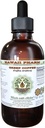 Café vert Extrait liquide sans alcool, café vert (Coffea Arabica) Haricot séché Glycérite Hawaii Pharm supplément naturel à base de plantes 4 oz