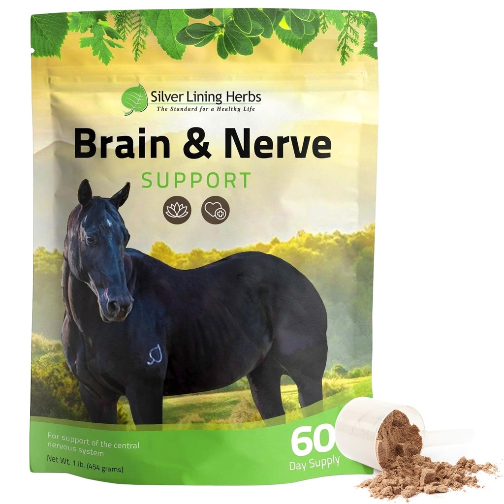 Silver Lining Herbs Cerveau & Nerve Support Supplément pour Chevaux - Suppléments pour Chevaux pour Focus, Santé Mentale & Soutien Cerveau - Contient du Ginkgo, Gotu Kola et plus - 1 lb 60 jours d'approvisionnement