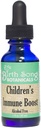 Birth Song Botanicals Kinder Immune Boost Tincture*, Kinder Immunsystem Support Supplement mit Echinacea, flüssige Kräuter Immuntropfen für Kinder, Kinder Echinacea Kräuter Immun Formel 1oz Flasche
