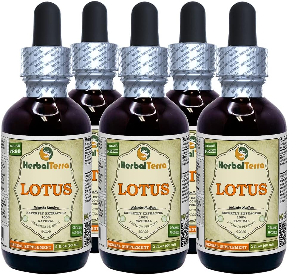 Lotus, Xi Xin (Nelumbo Nucifera) Getrockneter Stammflüssigkeitsextrakt (Markenname: HerbalTerra, Proudly Made in USA) 5x2 oz