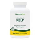 NaturesPlus IcelAndic Kelp - 150 mcg Iodine; 150 mg Kelp- 300 Vegetarische Tabletten - Natürliche Jodergänzung - Glutenfrei - 300 Servietten