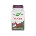 Nature's Way Premium Blend Cranberry, Urinary Tract Health Support* Ergänzung mit Vitamin C, 60 Tabletten
