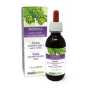 Naturalma Rhodiola rosea (Sedum roseum) Wurzel Alkoholfreie Tinktur - 4 fl oz Flüssiger Extrakt in Tropfen - Kräuterergänzung - Vegan