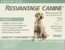 Nachhaltige Canine