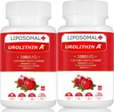 Urolithine liposomale A Supplément 2000MG pour Energy 120 Capsules