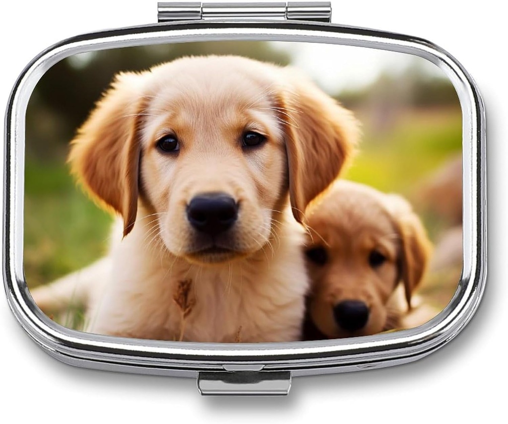 Pill Box 2 Compartiment Square Pill Organizer Daily Small Pill Case for Travel Cute Golden Retriever Puppy Metal Pill Container Portable Medicine Organizer for Pill Vitamines Fish Oil Supplement