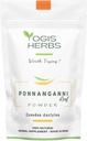 YOGIS HERBS Ponnanganni Blattpulver (Sessile Joyweed) – ganzheitliche Gesundheitsergänzung für Augen, Haut, Knochen und Immune Wellness | Natural Detox Aid -100 GMS (3.5 oz)