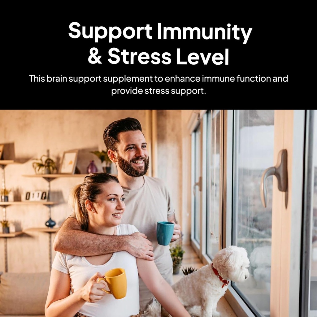 Doctor Morse's Brain & Nervous Systems Support - Unterstützung Immunität & Stress Level - Naturopath Formulated Nootropic Supplement - Ginkgo Leaf, Gotu Kola, Astragalus Root & Butchers Broom - 90 Kapseln