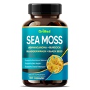 Premium Sea Moss mit Ashwagandha, Burdock Bladderwrack, Schwarz für Immunsystem, Haut, Verdauung & Energie- Made in USA (150 Count (Pack of 1))