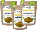 Naturefi Poudre de racine de seau d'or biologique - 10,5 oz, 300 portions *USDA Organic=Lab testé* Pure poudre de racine de seau d'or naturel