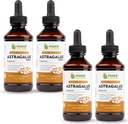 Maxx Herb Astragalus Wurzelextrakt - Max Strength Liquid Tincture absorbiert besser als Kapseln oder Pulver, für Immununterstützung und psychische Klarheit - 4 Flaschen, 4 Oz Jeder (240 Servierungen)