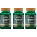 Extrait de Swanson Boswellia Serrata 125 mg 60 gélules (3 boîtes)