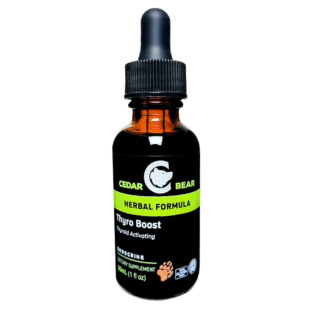 Cedar Bear Thyro boost un supplément à base de plantes liquides qui aide à activer et à construire la fonction thyroïde et l'intégrité structurelle 1 Fl Oz