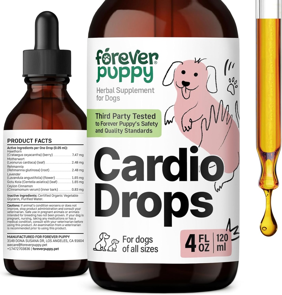 Forever Welpen Cardio Tropfen für Hunde - Herzunterstützung für Hunde w/Hawthorn Berry & Mutterwort Kräuter - Flüssige Antioxidante Ergänzung w/Gotu Kola Blätter & Lavender Extrakt - 4 fl oz