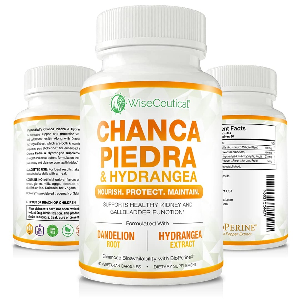 Max Strength Chanca Piedra, Hydrangea & Dandelion Root - Natural Kidney & Gallbladder Formel - Stone Breaker, Flush Verunreinigungen, Cleanse Urinary Tract - Verbessert mit BioPerine. 60 Veggie Kapseln.