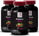 Gewurzelt in der Natur - HAWTHORN EXTRACT - Berry Boost, Antike Blattextrakt, Flora Berry Magic, Botanical Wild Berry, Traditionelle Blatt, Ernte Mischung, Blatt Power Tradition 3 Flaschen 180 Kapseln