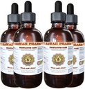 Prostata-Support Nahrungsergänzung: Pygeum (Pygeum Africanum) Bark, Saw Palmetto (Serenoa Repens) Berry, Stinging Nettle (Urtica Dioica) Blatt-Tinktur (Alkohol-basierte Flüssigextrakt) 4x4 oz
