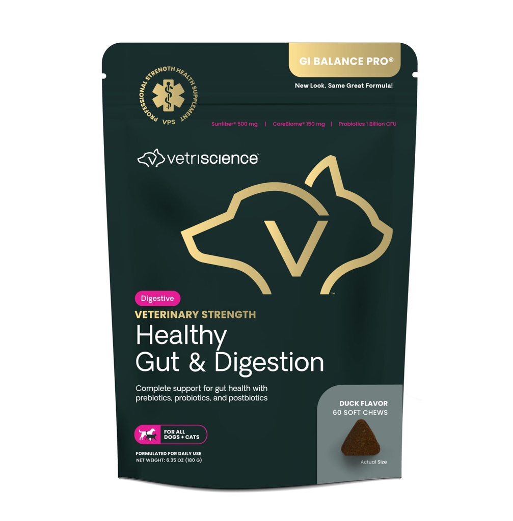 VetriScience Veterinary Strength Healthy Gut & Digestion - Pet Digestive Health Supplement für Katzen & Hunde - Gut Health & Immune Support - Features Probiotics, Prebiotics & Postbiotics - 60 Count