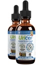 Uricel - Advanced Uric Acid Support & Cleanse Supplement - Flüssige Lieferung für bessere Absorption - Tart Cherry, Chanca Piedra, Celery Seed, Turmeric & More!
