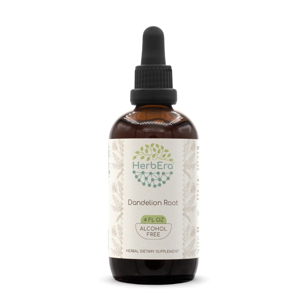 HerbEra Dandelion Root B120 Alkoholfreie Kräuterextrakt Tincture, Super-Concentrated Dandelion (Taraxacum Officinale) Getrocknete Wurzel (4 fl oz)