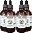Muira Puama Alcohol-Free Liquid Extract, Bio Muira Puama (Ptychopetalum Olacoides) Glycerite Natural Herbal Supplement, Hawaii Pharm, USA 4x4 oz