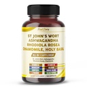 St. John's Wort Ashwagandha Rhodiola Rosea Camomile - Fabriqué aux États-Unis