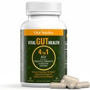 Vital Gut Health 4in1 Formel mit Apfelessig, Präbiotika & Probiotika, Verdauungsenzyme für starke Immununterstützung und vollständige Gut- und Verdauungsunterstützung
