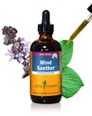 Kräuter Pharm Mind Soother: Heilige Basil: Flüssige Kava-Ergänzung zur Unterstützung Beruhigung und Entspannung, stabilisierende Unterstützung für Nervous System, hergestellt mit edlen Kava & Lavender Flower, Vegan, Gluten-Free, 4 oz*