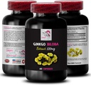 Ginkgo biloba antioxidative Eigenschaften - Ginkgo BILOBA Extrakt - Natürliche Extrakt Antioxidans, Ginkgo biloba Ergänzung Vorteile, Kräuterblatt Extrakt, pflanzlichen Antioxidans Ergänzung 1 Flasche 60 Kapseln